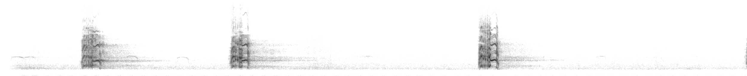 Brandseeschwalbe (sandvicensis) - ML304436