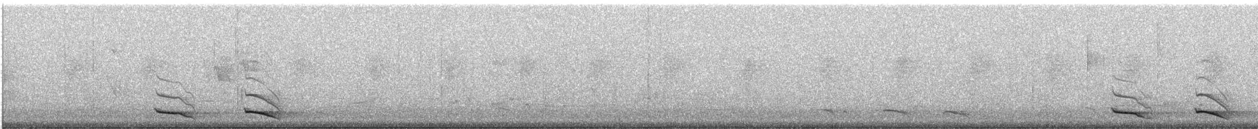 Ошейниковый трогон - ML304442971