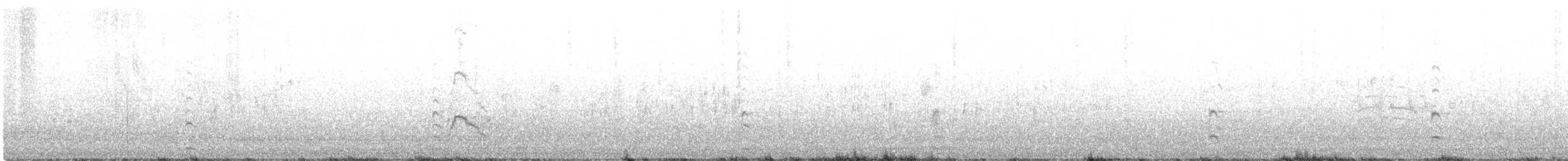 Canard siffleur - ML304447731