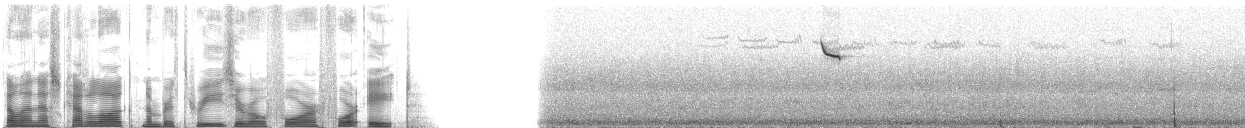 šoupálek americký - ML30448