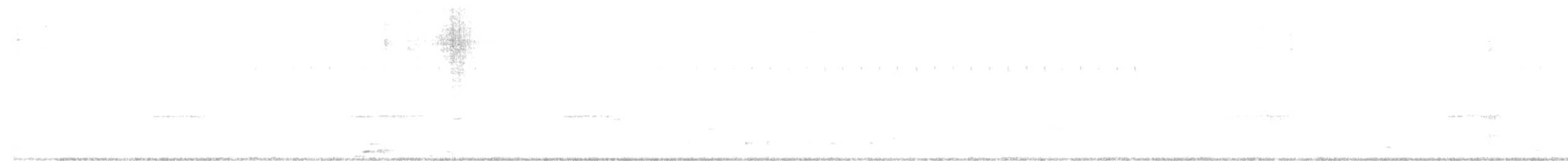 Schmalspiegel-Nachtschwalbe - ML304480351