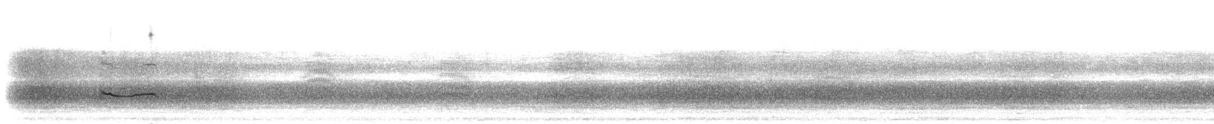 Black-bellied Plover - ML304530