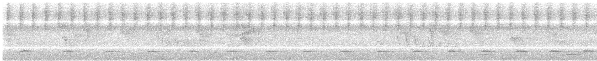 Tinamou brun (groupe obsoletus) - ML304541891