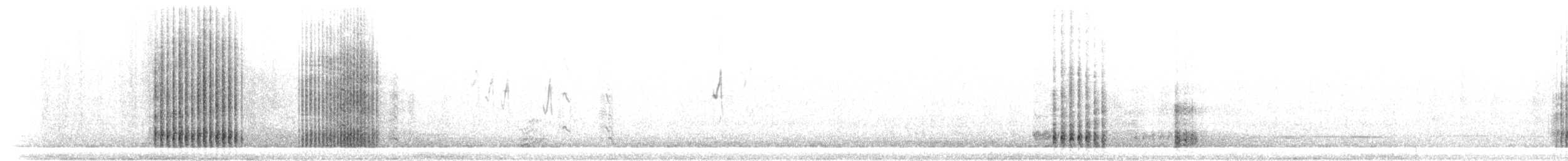 svartkråke - ML304552