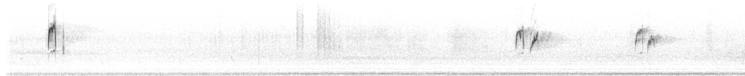 Rock Pipit - ML304579