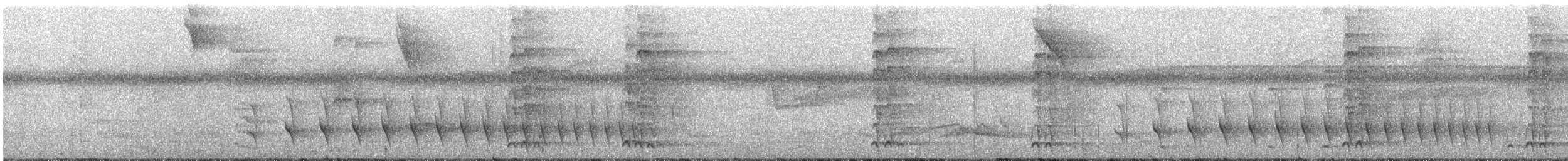 Spot-tailed Antwren - ML304604881