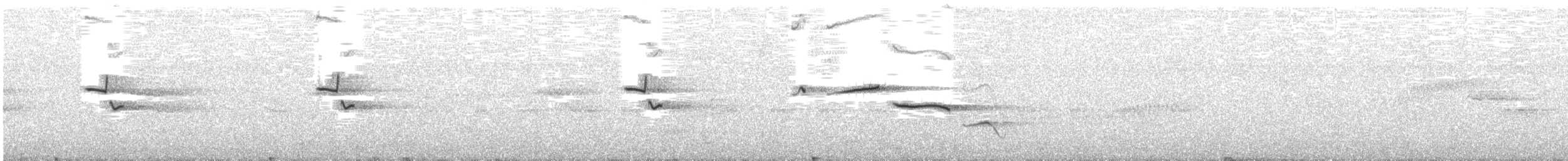 Buztanikara argia - ML304606971