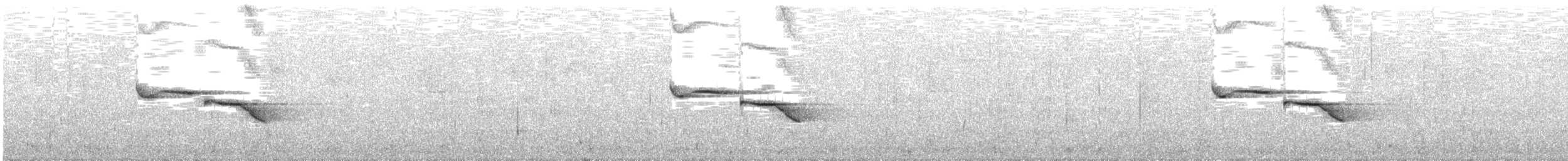 Buztanikara argia - ML304607031