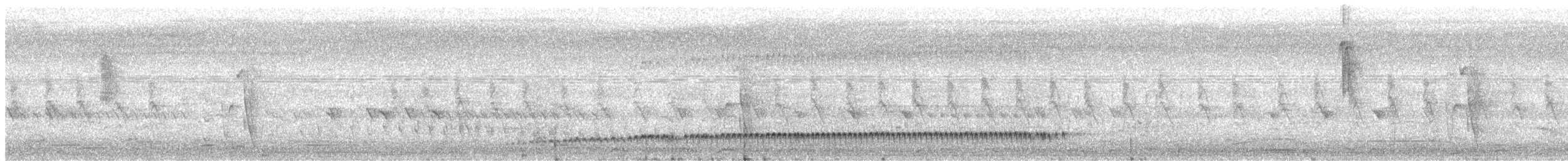 Strichelstirn-Honiganzeiger - ML304626901