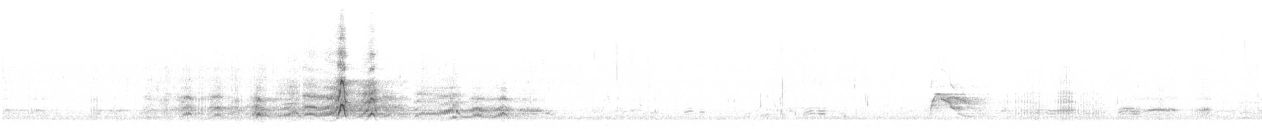 Canard siffleur - ML304627