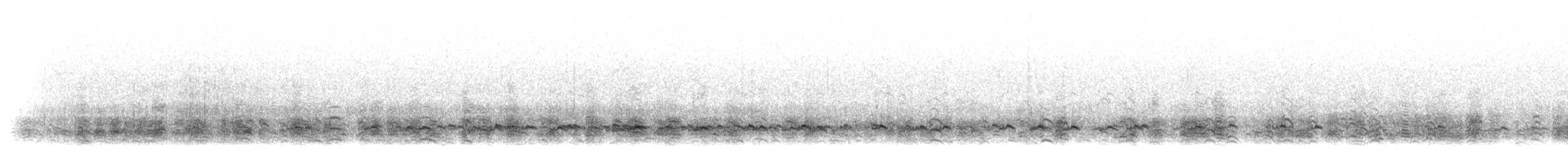Sarcelle d'hiver (crecca) - ML304668
