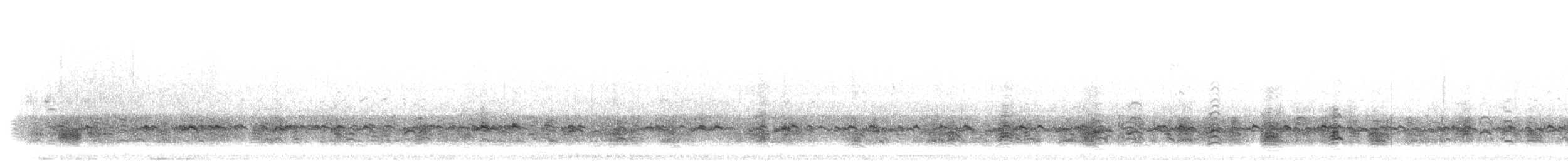 Sarcelle d'hiver (crecca) - ML304669