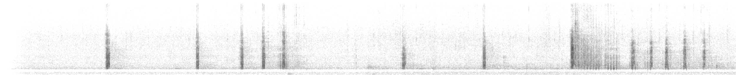 דוחל שחור-גרון - ML304677
