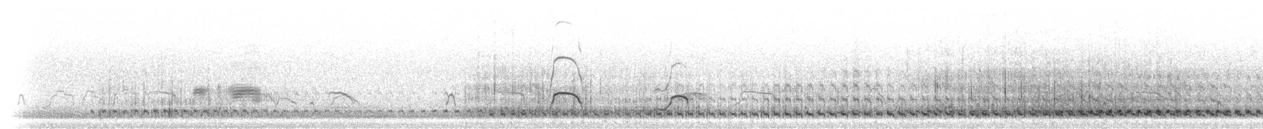 Common Goldeneye - ML304684