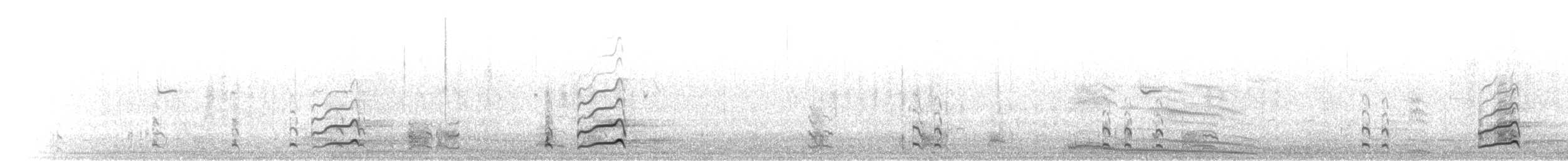 Black-tailed Godwit - ML304725