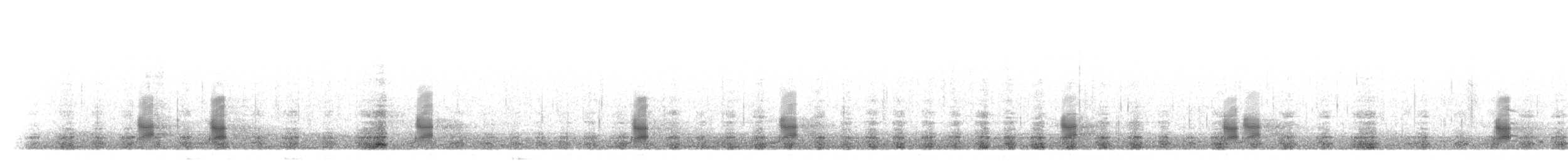 ברווז אפור (אירואסייתי) - ML304731