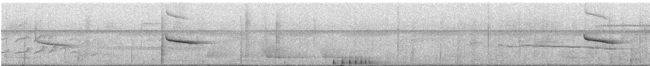 Weißgesicht-Ameisenvogel - ML304781541