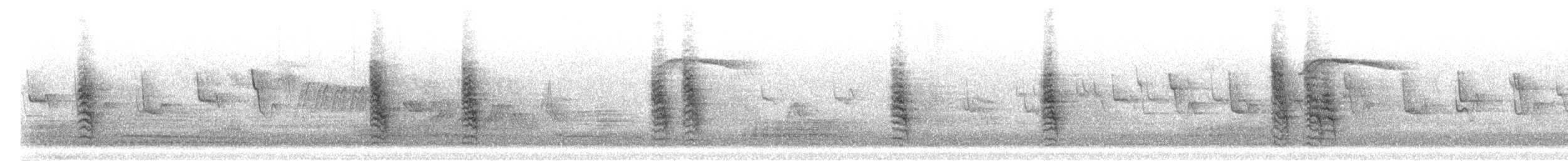 vrabec polní - ML304802