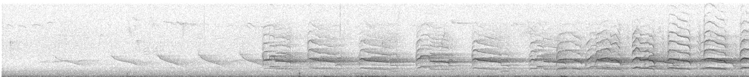Красноплечий канюк [группа lineatus] - ML304811391