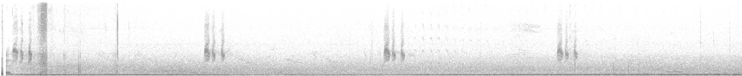 Antillennachtschwalbe - ML30486311
