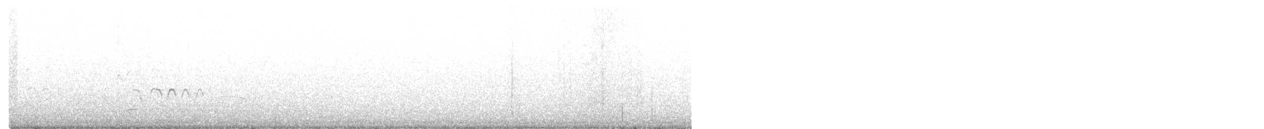 buřňák makaronéský - ML304867201