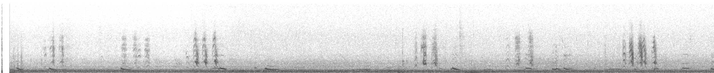 Лебідь чорнодзьобий (малий) - ML304871
