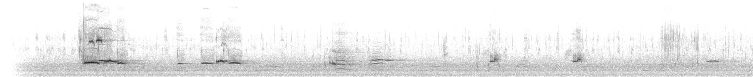 Sarcelle d'hiver (crecca) - ML304872