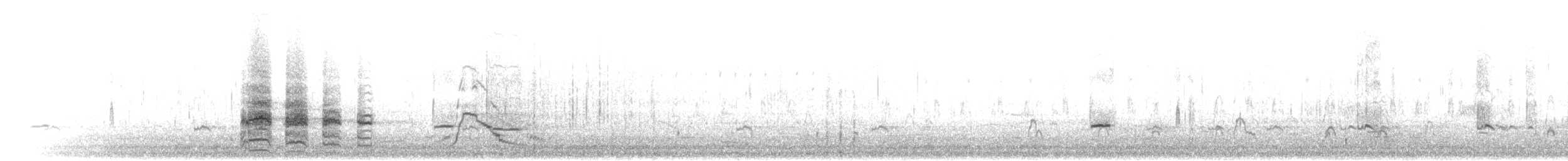 Sarcelle d'hiver (crecca) - ML304873