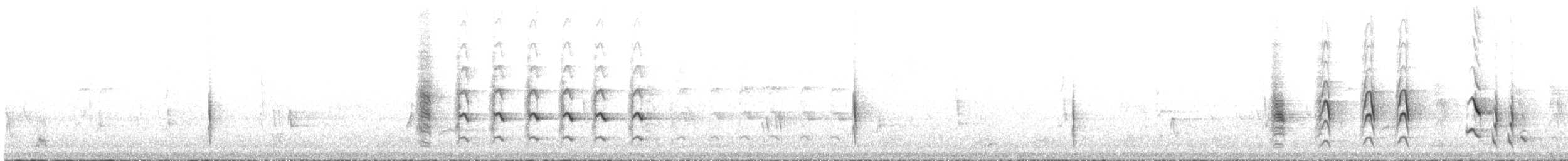 purpurstripehonningeter - ML304904021
