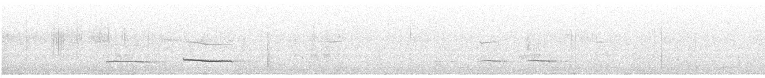 Tinamou sauvageon - ML304912701