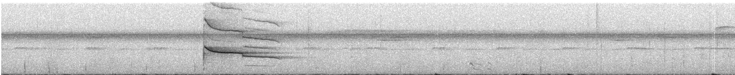Чернолицая агуйла - ML304912751