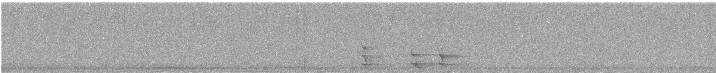 Northern Saw-whet Owl - ML304951401