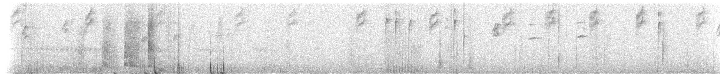 Пестрогрудый тираннчик - ML304958881