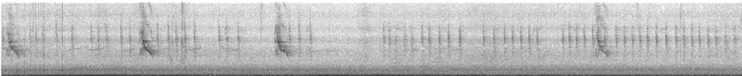 Белокрылая канделита - ML304983601