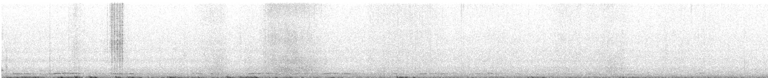 Cygne siffleur - ML305006391