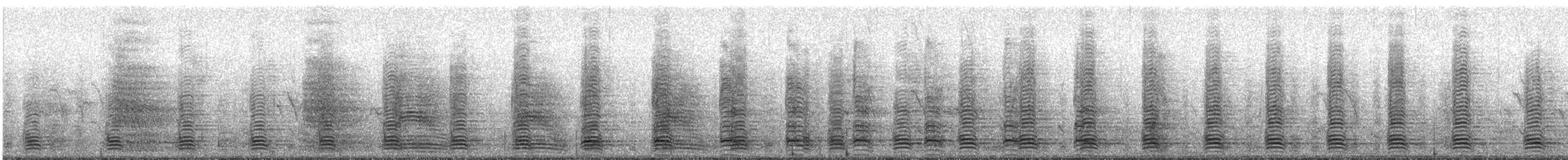 Oca egiziana - ML305056631