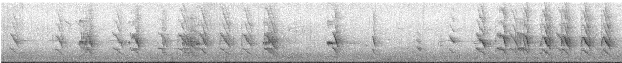 Parrocchetto dal collare - ML305056721