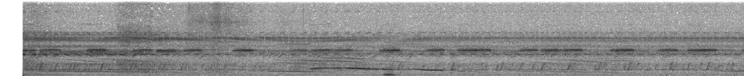 Common Potoo - ML305198071