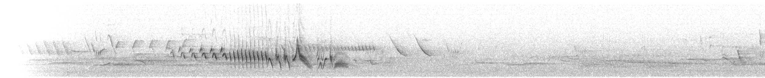 Madeira Chaffinch - ML305211