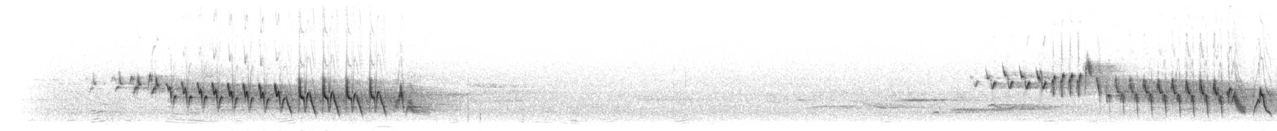 Madeira Chaffinch - ML305212