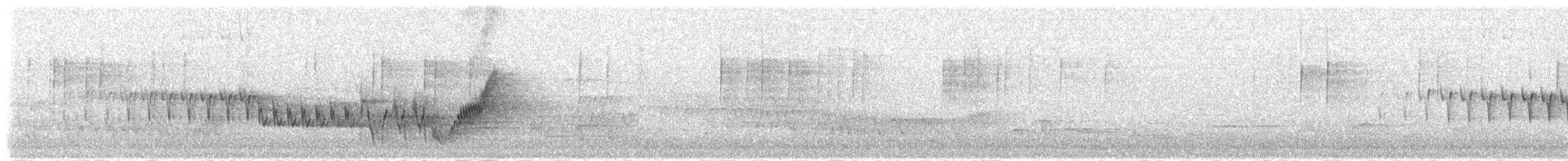 Madeira Chaffinch - ML305226