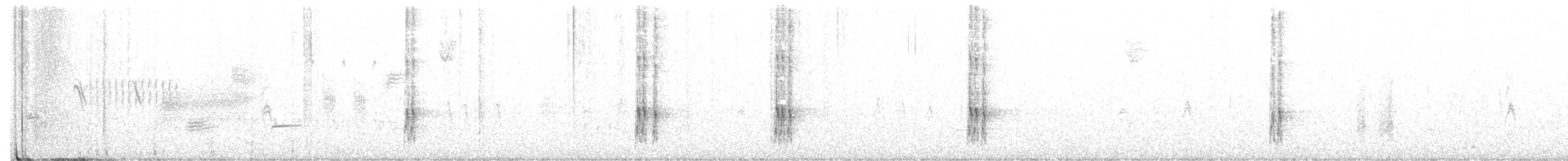 Nuttall Ağaçkakanı - ML305232521