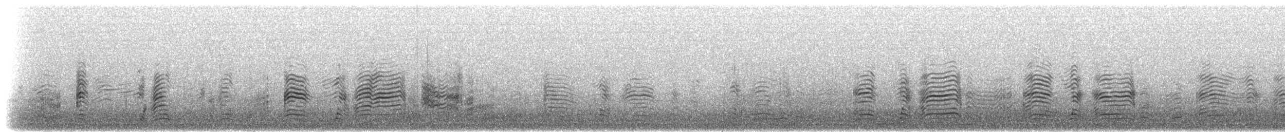 Sepiasturmtaucher (borealis) - ML305235
