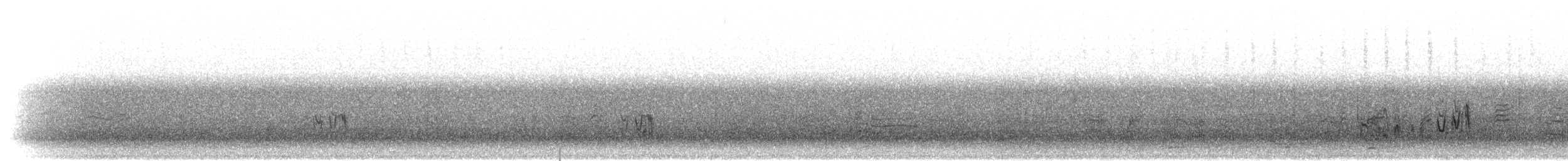 Madeirako ekaitz-txoria - ML305236