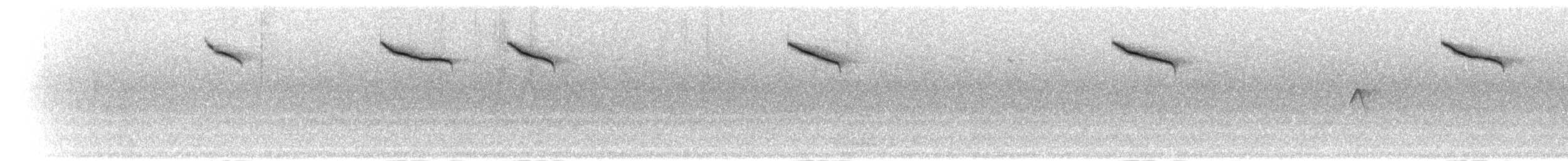 Papamoscas Gris (grupo striata) - ML305284