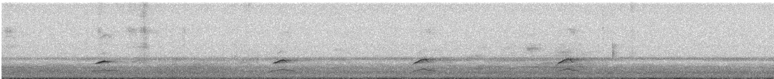 Хотны бүгээхэй - ML305296461