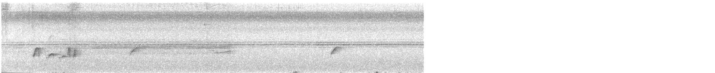 Rußkappen-Kleintyrann - ML305332011