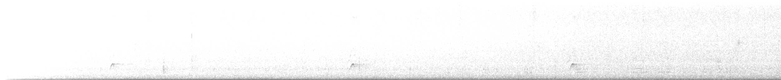 Brown-crested Flycatcher - ML305343191
