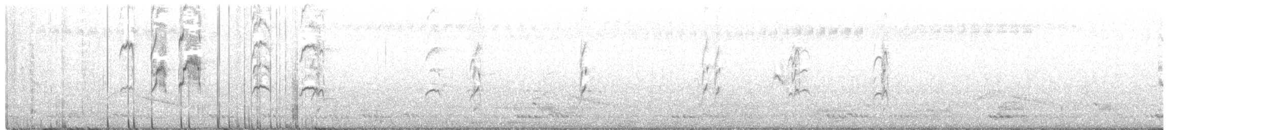 Pied Kingfisher - ML305458621