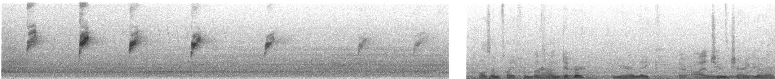 Mirlo Acuático Pardo - ML30547741